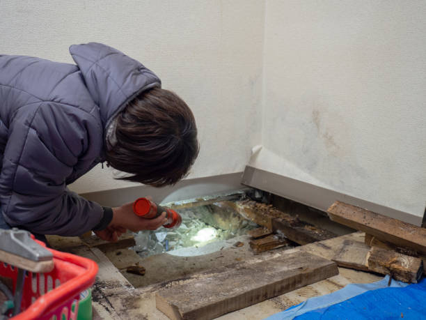 Best Mold Odor Removal Services  in Avenue B And C, AZ