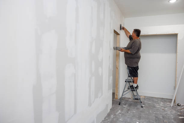 Best Mold Remediation for Healthcare Facilities  in Avenue B And C, AZ